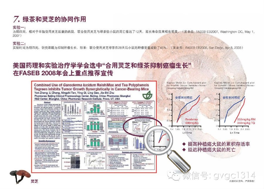 唯一获得世界癌症协会推荐的产品--如新 灵芝 茶沛胶囊