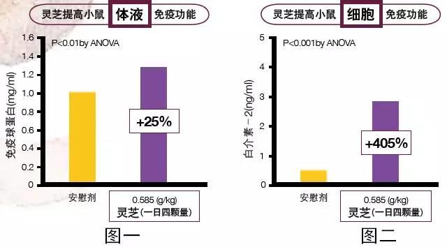 NU SKIN如新华茂™灵芝胶囊