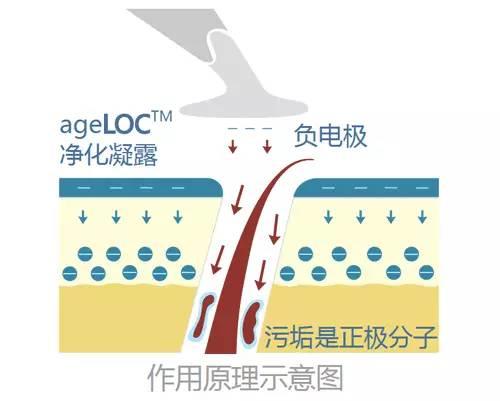 NU SKIN如新美颜SPA机介绍与操作
