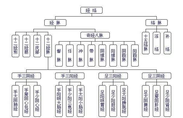 NU SKIN如新SPA机-经络穴位详解