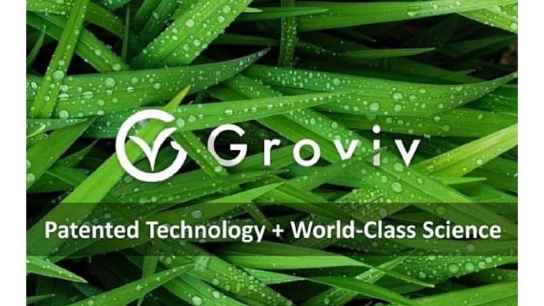 如新对自己的革命−收购Groviv