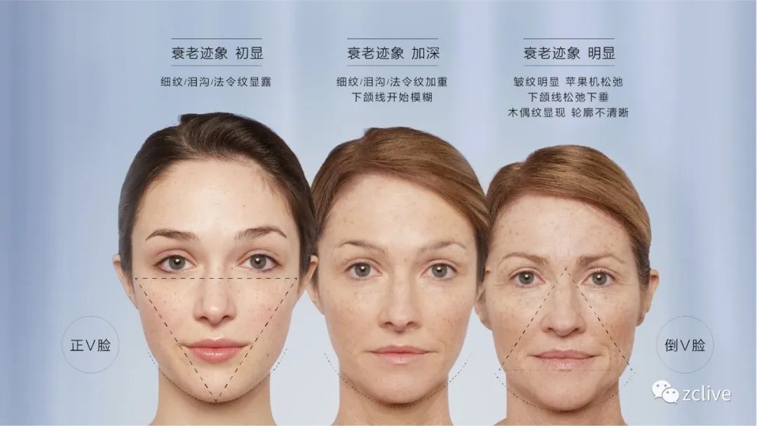 来和如新科学家一起探索紧致科技吧